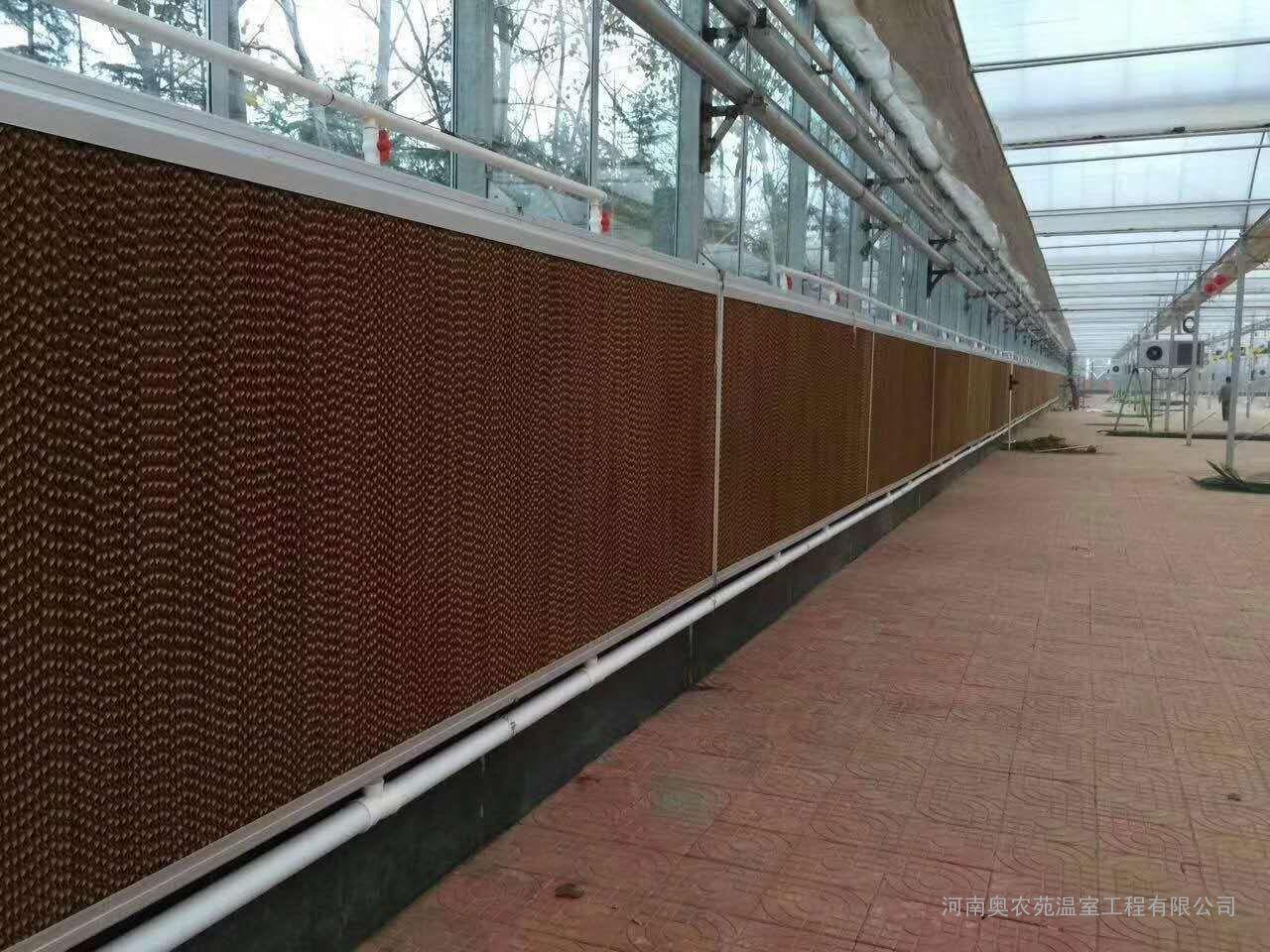 家禽養(yǎng)殖降溫方案